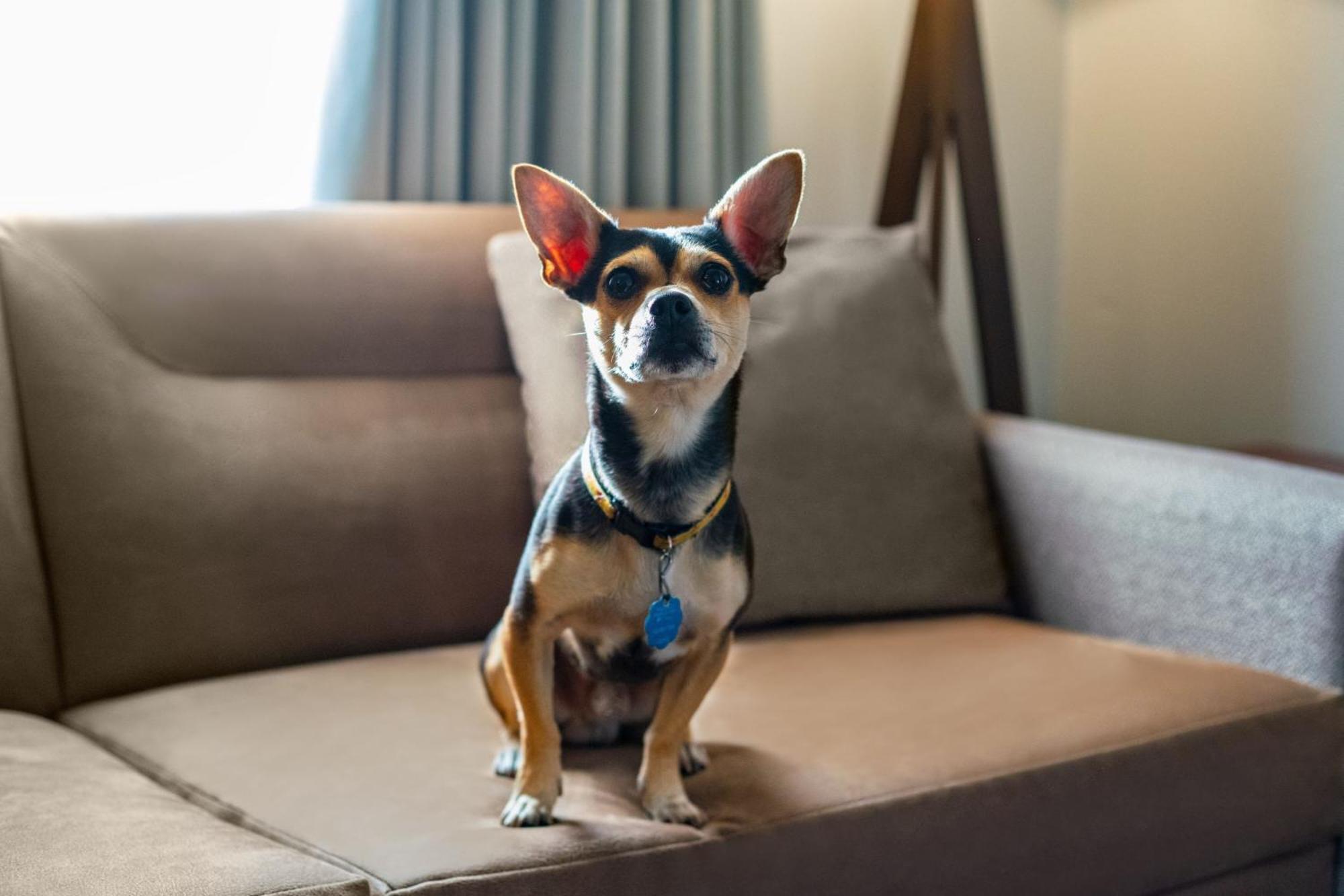 Residence Inn Lexington North מראה חיצוני תמונה